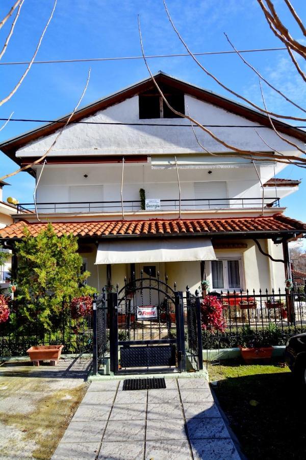 Zeusplace Georgia House Διαμέρισμα Λεπτοκαρυά Εξωτερικό φωτογραφία